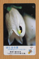 Japon Japan Phonecard (C) / Käfer Beetle - Other & Unclassified