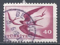 Turkey 1959. Scott #C31 (U) Birds, Swallows - Corréo Aéreo