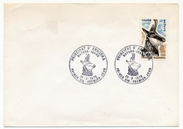 ANDORRE - 1,00F ISARD Sur Enveloppe Blanche, Premier Jour, 24/3/1979 - FDC