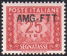 1510 SEGNATASSE 1954 - 25 Lire, Nuovo Tipo Di Soprastampa (25A), Ottima Centratura, Gomma Integra, Perfet... - Andere & Zonder Classificatie