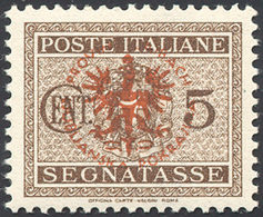 1626 LUBIANA SEGNATASSE 1944 - 5 Cent. Soprastampa Arancio Bruno (1A), Gomma Originale Integra, Perfetto.... - Other & Unclassified