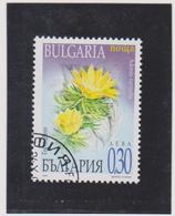 BULGARIE    2000  Y.T. N° 3891  à  3894  Incomplet  Oblitéré  3893 - Used Stamps