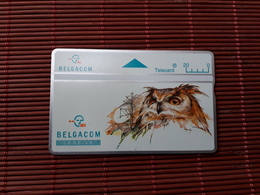 Owl Phonecard Used - Gufi E Civette