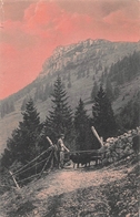 Le Chasseron - Berger Avec Moutons 1910 - VD Vaud