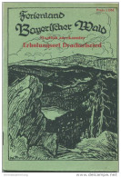 Bayrischer Wald 60er Jahre - 56 Seiten Mit 4 Abbildungen - Geschichtliches - Kleine Wanderkarte Etc. - Baviera