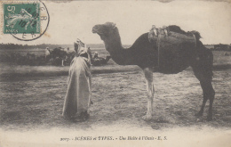 Ethniques Et Cultures - Maghreb - Halte à L'Oasis - Dromadaire - Cachet 1910 Alger - Africa