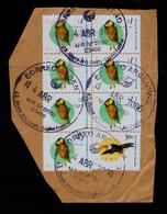 TUCÁN - LECHUZA Birds Oiseaux Animals Faune 7x  ARGENTINA (cover-fragment) 2000 Sp5282 - Coucous, Touracos