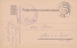 Feldpostkarte - IR 81 Nach Stein An Der Donau - 1916 (35519) - Covers & Documents