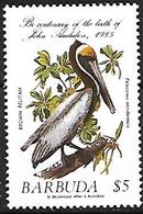 Barbuda 1985 - MNH - Brown Pelican (Pelecanus Occidentalis) - Pelikanen