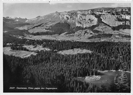 Caumasee, Flims Gegen Den Segnespass - Non Circulé ( Carte 10 X 15 Cm) - Flims