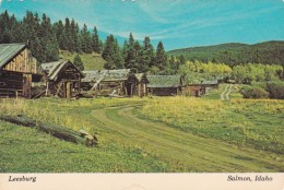 Idaho Salmon Leesburg Ghost Town - Sonstige & Ohne Zuordnung