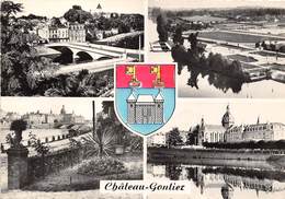 53-CHATEAU-GONTIER- MULTIVUES - Chateau Gontier