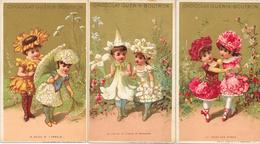 CHOCOLAT  GUERIN- BOUTRON -3 CARTES  LES FLEURS - Chocolat