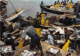 56-LORIENT- DECHARGEMENT DE LA SARDINE - Lorient