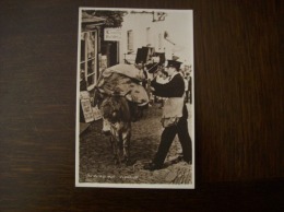 Angleterre - Carte Postale Ancienne De Clovelly: The Donkey Mail - Clovelly