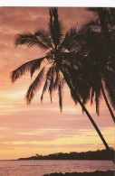 Hawaii A Big Island Sunset 1998 - Hawaï
