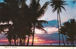 Hawaii Waikiki Beach Sunset - Oahu