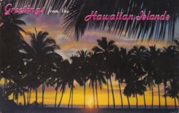 Hawaii Greetings With Sunset Through The Palms 1967 - Oahu