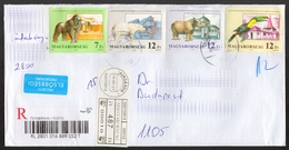 Gorilla Monkey / Polar Bear / Rhinoceros / Toucan Bird - Hungary 1991 ZOO - Registered Priority Cover Letter Tatabánya - Gorilla