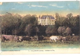 ** 36  ***  VILLEDIEU Château Du Puy - Et Troupeau De Vaches Peu Courante En Colorisée - Andere Gemeenten