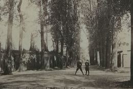 Dour L'allée Du Cimetière - Dour