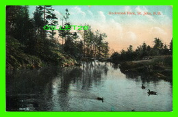 ST JOHN, NEW BRUNSWICK - ROCKWOOD PARK - TRAVEL IN 1908 - THE VALENTINE & SONS PUB CO - - St. John