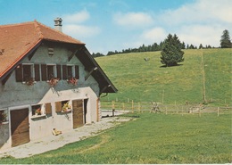 18 / 7 / 47  -  L'ALPAGE DU  Mont - Cheseau, Sur La Commune De Puidoux ( Photo M.  Rouge ) C P M - Puidoux