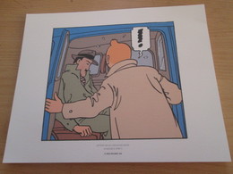 TIRE A PART 2010 DE TINTIN HERGE Par Les EDITIONS MOULINSART Sur Papier épais 24cm X 19.3 Env . TTB état - Serigraphien & Lithographien