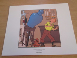 TIRE A PART 2010 DE TINTIN HERGE Par Les EDITIONS MOULINSART Sur Papier épais 24cm X 19.3 Env . TTB état - Serigraphies & Lithographies