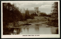 RB 1207 - Real Photo Postcard - Jedburgh Abbey From The River - Scotland - Roxburghshire
