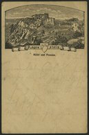 GANZSACHEN PP 6F 78 BRIEF, Privatpost: 1886, 5 Pf. Lila Regenstein, Hotel Und Pension, Stempel BLANKENBURG, Feinst - Otros & Sin Clasificación