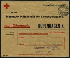 FELDPOST I.WK 1917, Kriegsgefangenen-Vordruckbrief Nach Russland über Kopenhagen, Aufgegeben In FRIEDBERG/HESSEN, Mit Vi - Gebraucht