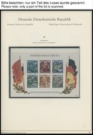 SAMMLUNGEN **,o , Fast Nur Postfrische Sammlung DDR Von 1956-70 Im ABRIA Album (Text Ab 1948), 1965/6 Fast Leer, Sonst F - Sammlungen