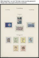 SAMMLUNGEN, LOTS **, Fast Komplette Postfrische Sammlung Luxemburg Von 1960-96 Im KA-BE Falzlosalbum, Prachterhaltung, M - Collezioni