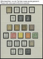 SAMMLUNGEN *,** , Ungebrauchte Sammlung Schweiz Von 1862-1937 Mit Vielen Guten Werten Und Sätzen, Sauber Im SAFE-dual Al - Collections