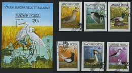 UNGARN 3451-56B,Bl. 146B O, 1980, Europäische Naturschutzkampagne, Einzelmarken Und Block, Ungezähnt, Pracht, Mi. 70.- - Autres & Non Classés