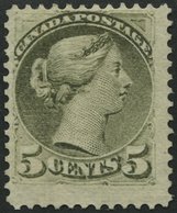 KANADA 29aA (*), 1876, 5 C. Bronzegrün, Gezähnt 12, Ohne Gummi, Pracht, Mi. (400.-) - Autres & Non Classés