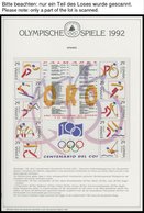 SPORT **,Brief , Olympische Spiele 1992 Auf Spezial Falzlosseiten Der Deutschen Sporthilfe Mit Blocks, Streifen, Markenh - Autres & Non Classés
