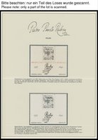 SONSTIGE MOTIVE **, Postfrische Sammlung Rubens - Philatelistische Dokumentation, Herausgegeben Zum 400. Geburtstag Pete - Unclassified