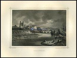 SAALFELD, Gesamtansicht übers Wasser Gesehen, Mit Tieren Im Vordergrund,Stahlstich Von Rohbock/Kolb Um 1850 - Lithographien