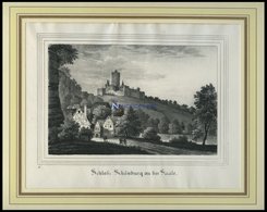 SCHÖNEBERG A.d.SAALE: Das Schloß,Lithographie Aus Saxonia Um 1840 - Lithographien