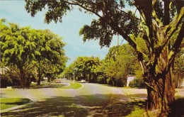 Florida Palm Beach View Looking North On County Road - Palm Beach