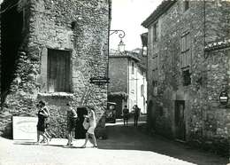 VAUCLUSE  LOURMARIN      ( Cpsm) - Lourmarin