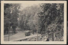 PIEMONTE - TORINO - VALENTINO - TRAM - FORMATO PICCOLO - EDIZ. BRUNNER  COMO - NUOVA NV - Trasporti