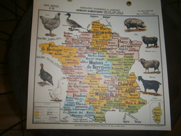 CARTE AGRICOLE GEOGRAPHIE ECONOMIQUE ET AGRICOLE  ANIMAUX DOMESTIQUES  ESPECE OVINE   PAR ALBERT BERNARD DIM 31 X31 CM - Other Plans