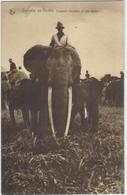 CPA éléphant Moniteur ELEPHANT Non Circulé Congo Belge - Belgian Congo