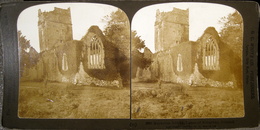 Ireland, Muckross Abbey, Lakes Of Killarney, H.C.White - Stereoscopi