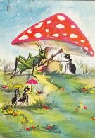 72079- CRICKET, ANT, GUITAR, MUSHROOMS - Champignons