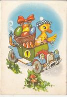 72082- DUCK, CAR, PAINTED EGGS, MUSHROOMS - Champignons