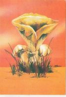 72098- MUSHROOMS - Champignons